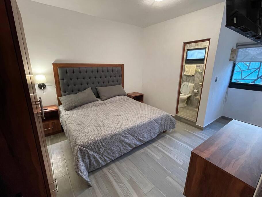 Suites C O V A D O N G A Meksika Dış mekan fotoğraf